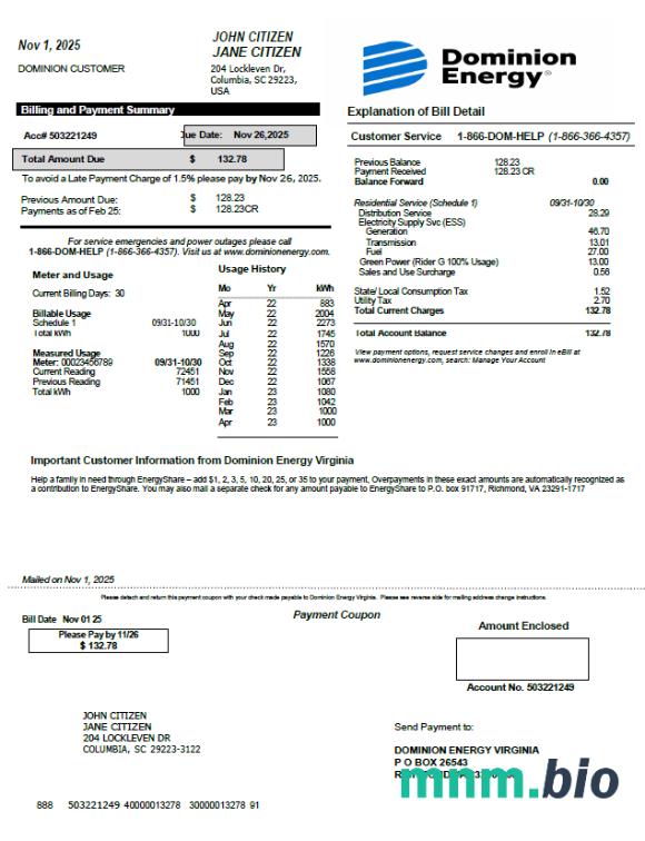 Szablon rachunku za media energetyczne USA Dominion w formatach Word i PDF, Wersja 2
